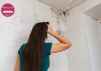 ferestrele din PVC